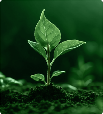 Vitalizers Gama de Vitaeco | Agricultura sostenible